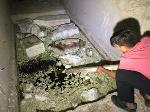 ÇOCUKLAR BULDU...BURSA’DA ESRARENGİZ OLAY