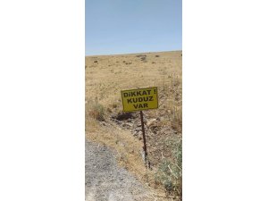 KÖPEK KUDUZ ÇIKTI, KÖY KARANTİNAYA ALINDI