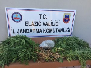 JANDARMADAN UYUŞTURUCU OPERASYONU; 1 GÖZALTI