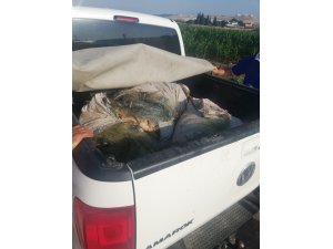 KAÇAK BALIK AVLAYAN 2 KİŞİYE BİN 635 TL PARA CEZASI