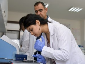 Kastamonu Üniversitesi, ithal edilen peyniri yaptığı çalışmayla millileştirecek