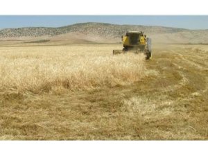 Biçerdöverin altında kalan adam ağır yaralandı