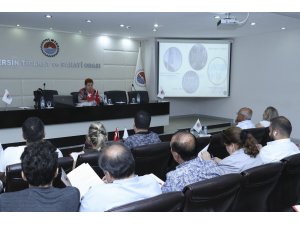 İsviçre’nin yatırım ve ticaret olanakları MTSO’da tanıtıldı