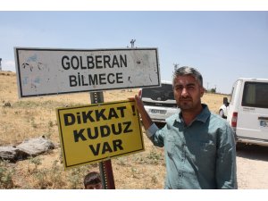 Diyarbakır’da kuduz alarmı