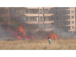 Şanlıurfa’da günün kahramanı çocuklar
