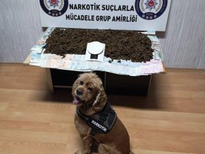 Narkotik köpeğinden bingo