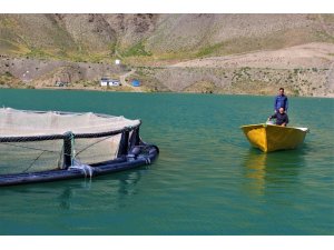 Avrupa standardında balık üretimiyle ekonomiye katkı