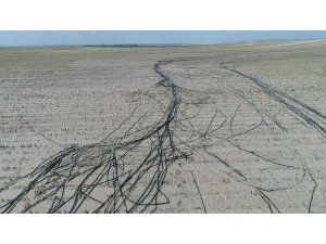 Eskişehir’de 120 bin dönüm arazi hasar gördü