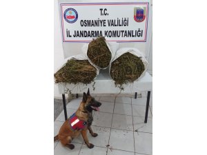 Osmaniye’de uyuşturucu operasyonu