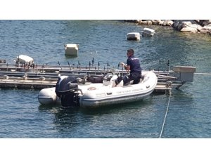 Zabıta’dan gölde ördek kurtarma operasyonu