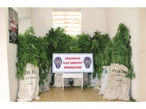 Düzce'deki uyuşturucu operasyonu