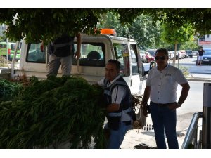 Ortaca’da uyuşturucu operasyonu