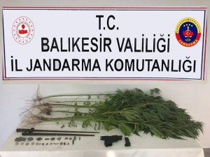 Gömeç’te jandarmadan uyuşturucu ve tarihi eser operasyonu