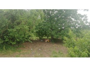 Piknik yaparken üzerine yıldırım düştü