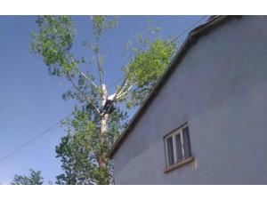 Testereyle bacağını kesen adam ağaçta mahsur kaldı