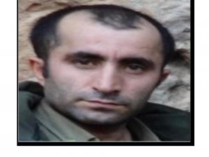 Terörden Arananlar Listesi’ndeki 2 terörist etkisiz hale getirildi