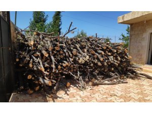 Ormanlık alanda kaçak ağaç kesen şahıs gözaltına alındı