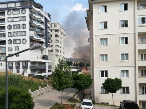 Şanlıurfa’da korkutan anız yangını