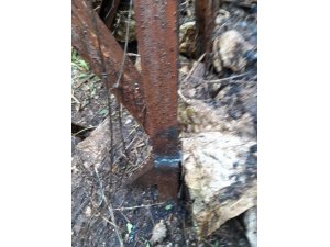 Hurdacılar ormanı yaktı