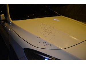 Bacağından vurulan şahıs kendi otomobili ile hastaneye gitti