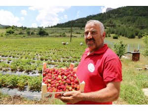 Tavsiye üzerine başladılar şimdi siparişlere yetişemiyorlar