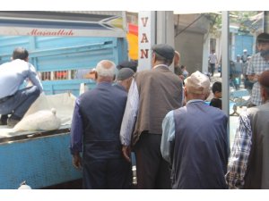 Koyun peynirine talep arttı, vatandaşlar günlerce sipariş için bekliyor
