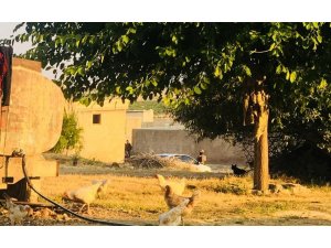 Şanlıurfa’da terör operasyonu: 9 gözaltı