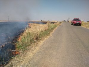 Anız yangını 40 dönüm buğday tarlasını küle çevirdi