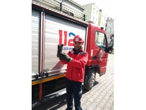 Yangın merdiveninde mahsur kalan kargayı itfaiye kurtardı