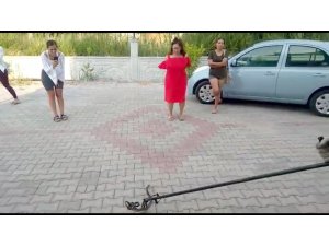 Fethiye’de Diyet Merkezinde yılan yakalama operasyonu