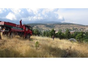 Hatay’da orman yangını