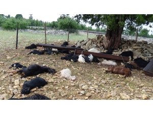 Mersin’de sel ve yıldırım hayatı olumsuz etkiledi