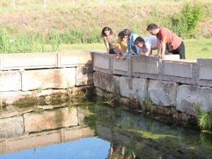 Beyşehir'in su kaynaklarında yaşayan endemik balıklar korunuyor