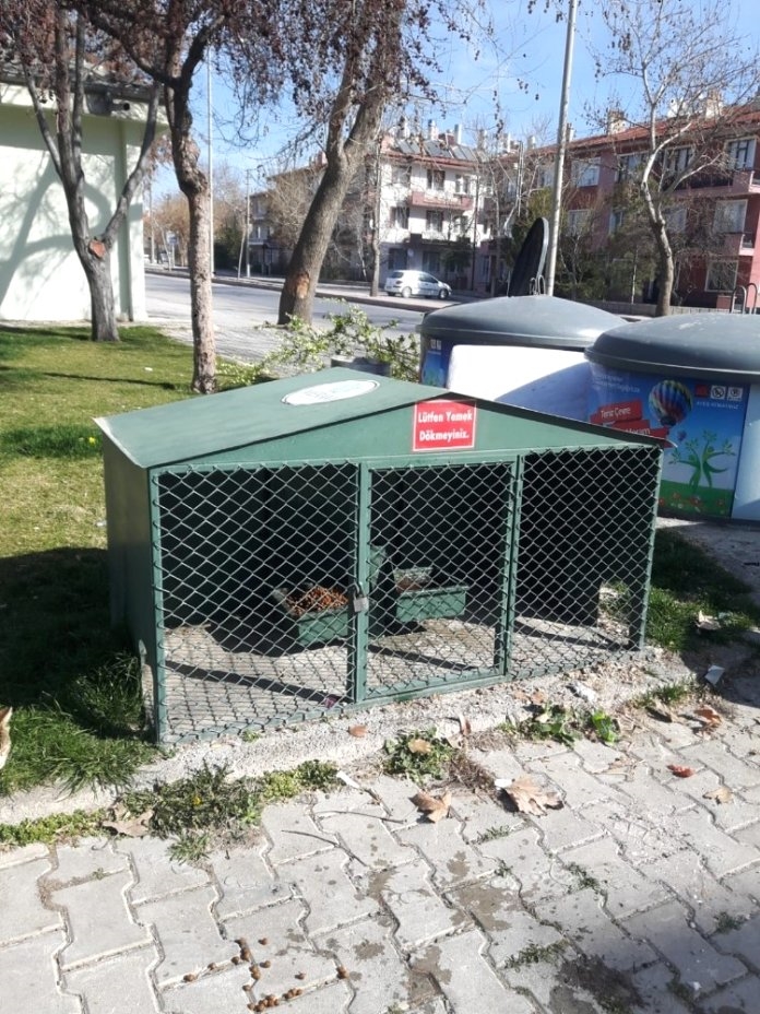 Meram'da sokak hayvanları sahipsiz değil