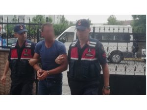 İnek hırsızlığı şüphelisi adliyede