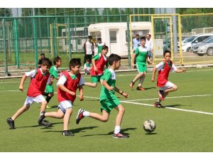 Yaz okulu kayıtları başladı