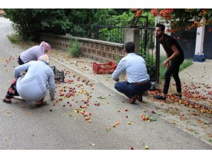 Dayı-yeğen kavgasında kan aktı: 2 yaralı