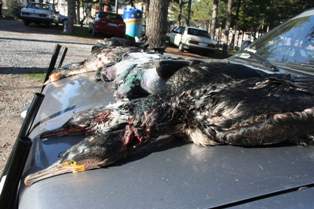 Milli parkta avlanan 4 kişi yakalandı