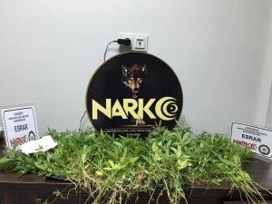 Oğlunu öldüren babanın balkonundan uyuşturucu çıktı