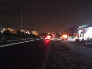 Kuşadası’nda motosiklet domuza çarptı, 1 yaralı