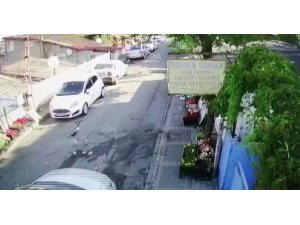 Vicdansız sürücü komşusunun beslediği yavru kuşları aracıyla böyle ezdi