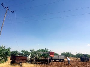 Şanlıurfa’da kaçak mobil trafo ele geçirildi