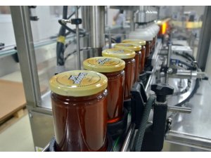 Türkiye bal üretiminin yüzde 40’ını Adana karşılıyor