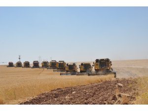 Dev işletmede devasa hasat maratonu