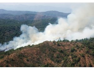 Marmaris’te orman yangını