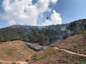 Marmaris yangını 3 hektarda kontrol altında