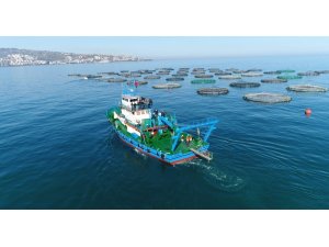 Trabzon’da kafes balığı üretiminden yaklaşık 30 milyon dolarlık döviz girdisi beklentisi