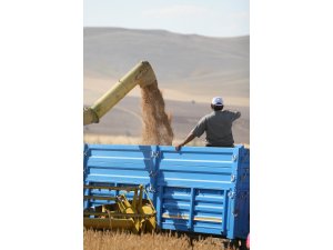 Buğdaydan 10 yılda 10 milyar dolarlık katma değer