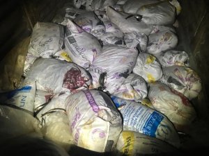 Van’da 10 bin 500 kilo kaçak avlanmış balık ele geçirildi