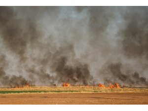 Mayınlı arazide korkutan yangın